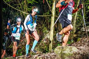 BIB: 
                            <button type="button" onclick="openModal(19382677)" class="btn btn-primary btn-sm float-right btn-popup" data-toggle="modal" data-target=".modal-high-quality">
                        <i class="fas fa-shopping-cart"></i> Add to Cart
                    </button>
                                            <button type="button" onclick="isThisMe(19382677, true)" class="btn btn-success btn-sm float-right btn-popup btn-isme hidden" data-toggle="tooltip" data-placement="bottom" title="นี่คือรูปของคุณใช่ไหม คลิกที่นี่เพื่อเอาเข้าอัลบั้ม">
                        <i class="fas fa-plus"></i> Add to album
                    </button>
                    <button type="button" onclick="isThisMe(19382677, false)" class="btn btn-warning btn-sm float-right btn-popup btn-isnotme hidden">
                        <i class="fas fa-ban"></i> Remove from album
                    </button>